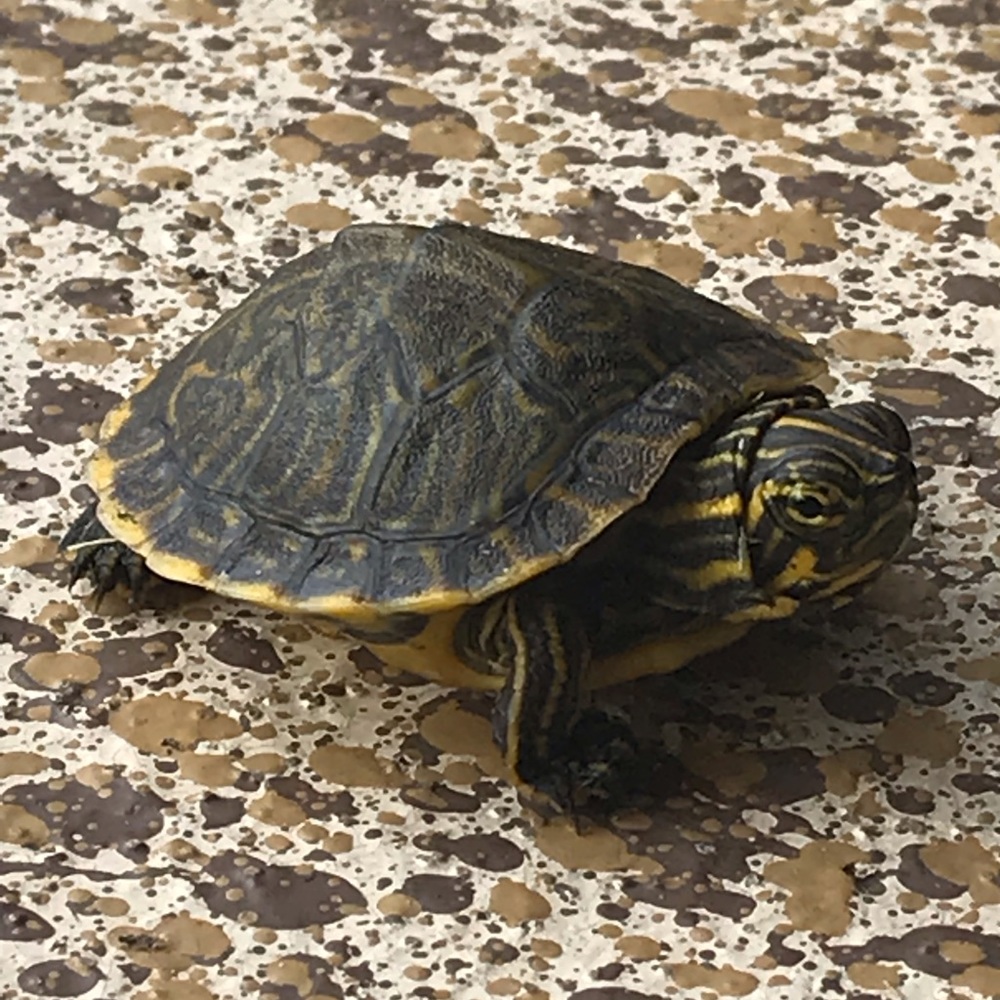 I appreciate you 😊